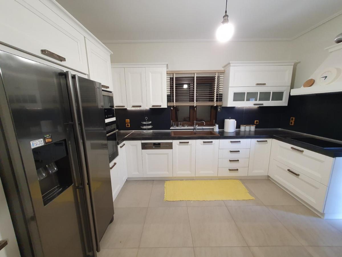 Villa Lina Salamina Ambelakia Экстерьер фото